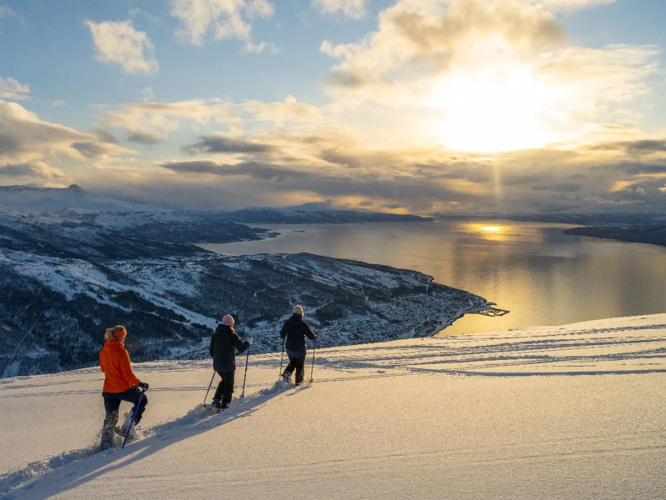 Trugetur i vinterlandskap