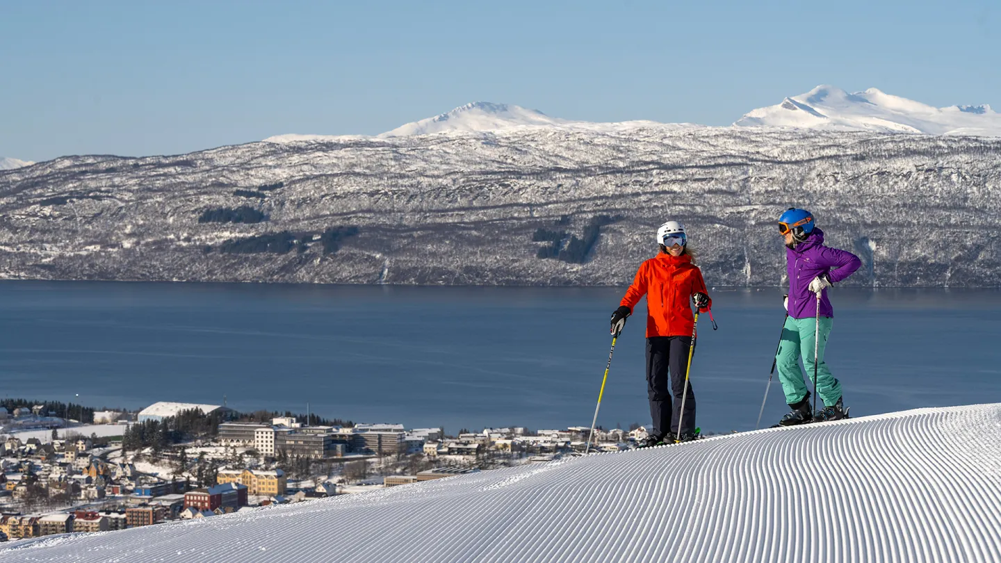 Narvikfjellet