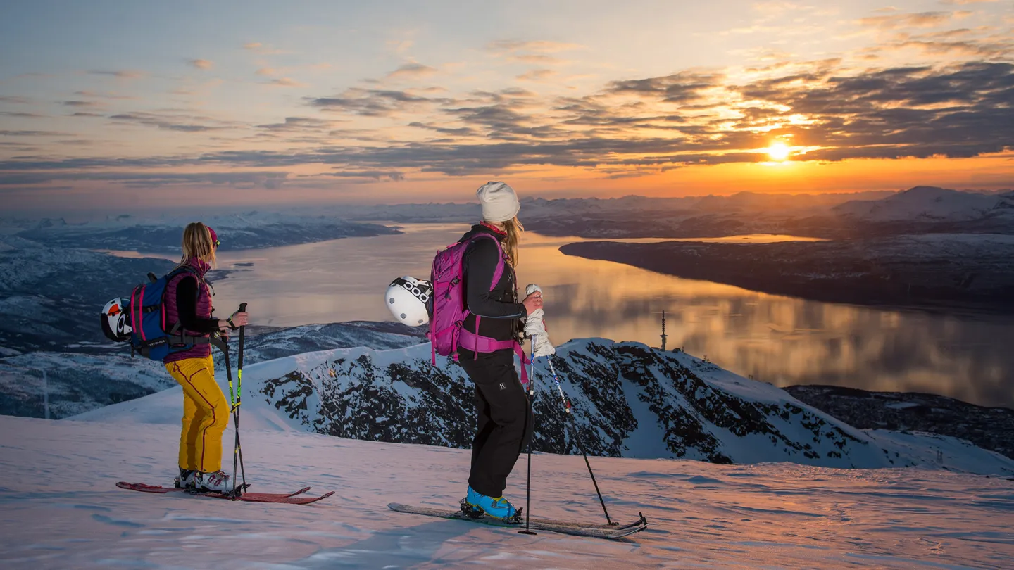 Narvikfjellet