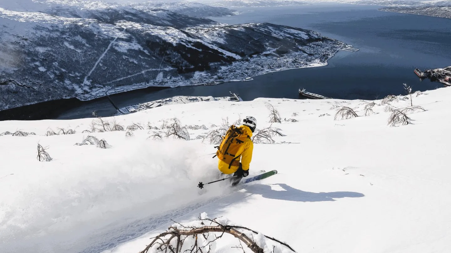 Narvikfjellet